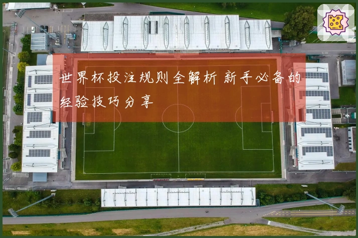 世界杯投注规则全解析 新手必备的经验技巧分享