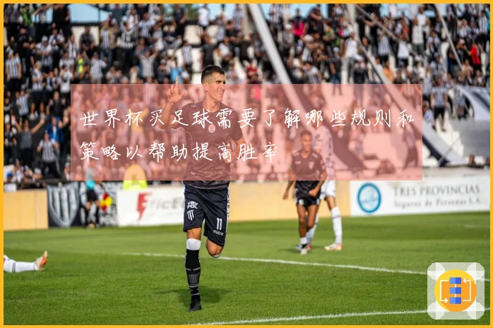 世界杯买足球需要了解哪些规则和策略以帮助提高胜率