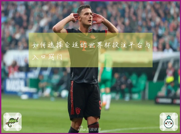 如何选择合适的世界杯投注平台与入口窍门