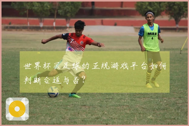 世界杯买足球的正规游戏平台如何判断合适与否？