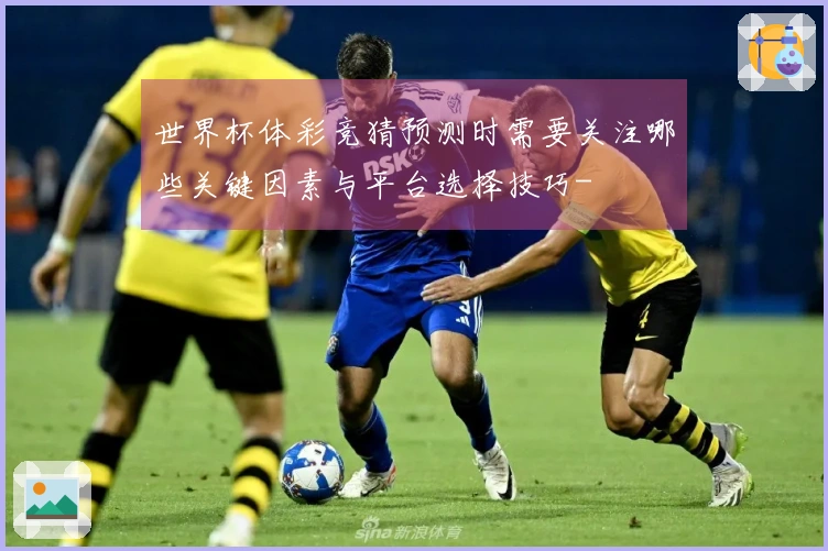 世界杯体彩竞猜预测时需要关注哪些关键因素与平台选择技巧-