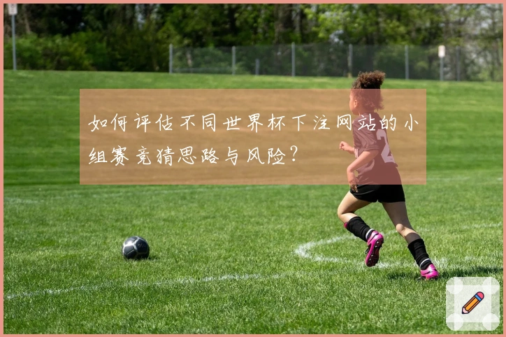 如何评估不同世界杯下注网站的小组赛竞猜思路与风险？