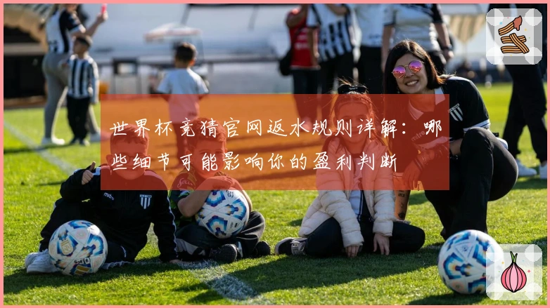 世界杯竞猜官网返水规则详解：哪些细节可能影响你的盈利判断