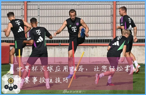世界杯买球应用推荐，让您轻松掌握赛事投注技巧