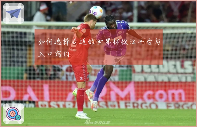 如何选择合适的世界杯投注平台与入口窍门