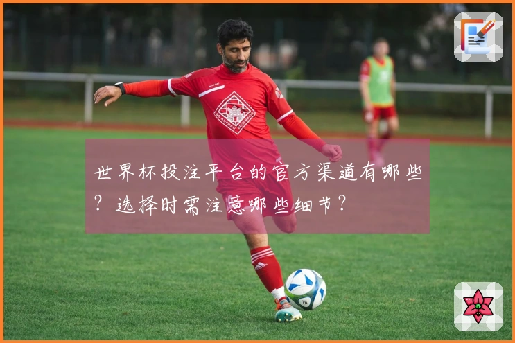 世界杯投注平台的官方渠道有哪些？选择时需注意哪些细节？