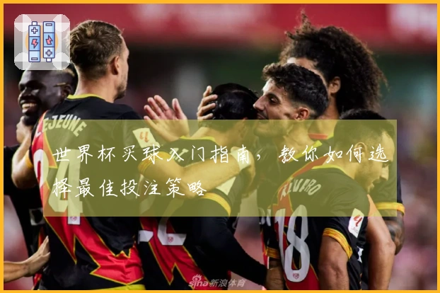世界杯买球入门指南，教你如何选择最佳投注策略