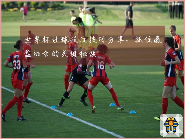世界杯让球投注技巧分享，抓住赢盘机会的关键秘诀