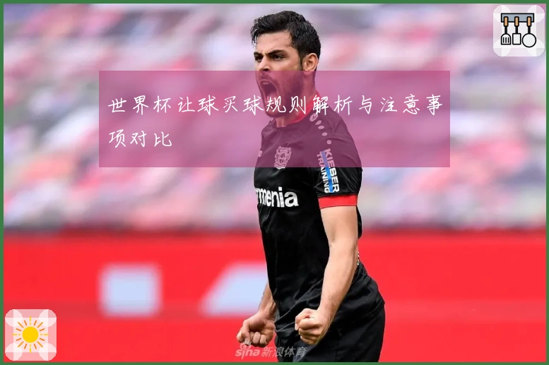世界杯让球买球规则解析与注意事项对比