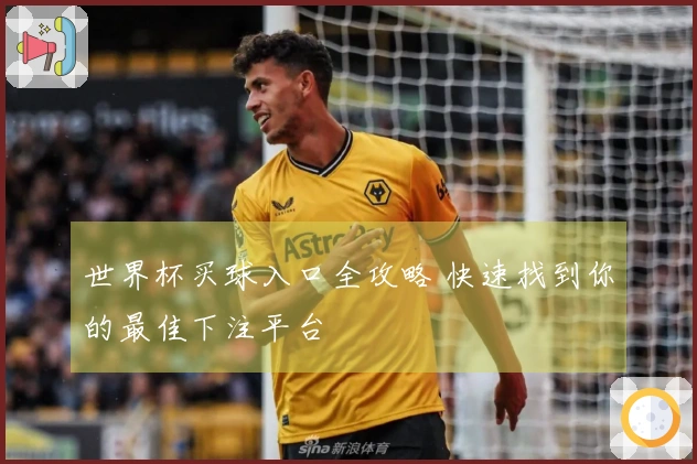 世界杯买球入口全攻略 快速找到你的最佳下注平台