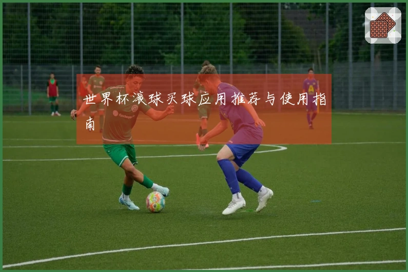 世界杯滚球买球应用推荐与使用指南