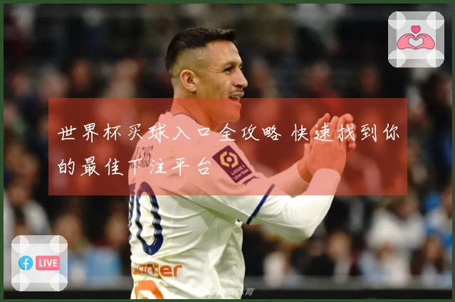 世界杯买球入口全攻略 快速找到你的最佳下注平台