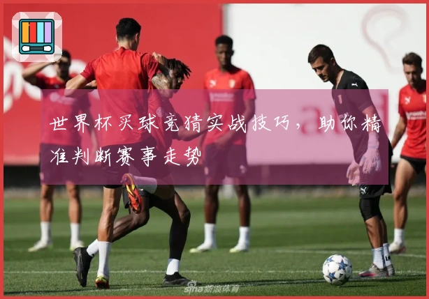 世界杯买球竞猜实战技巧，助你精准判断赛事走势