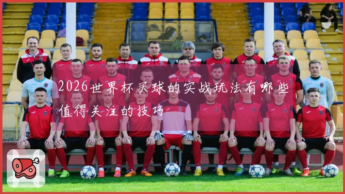 2026世界杯买球的实战玩法有哪些值得关注的技巧