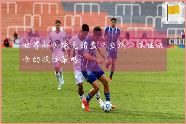 世界杯买球竞猜盘口分析：抓住机会的投注策略