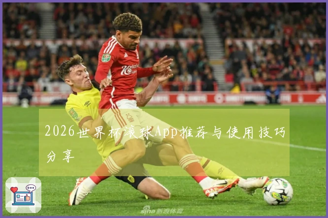 2026世界杯滚球App推荐与使用技巧分享