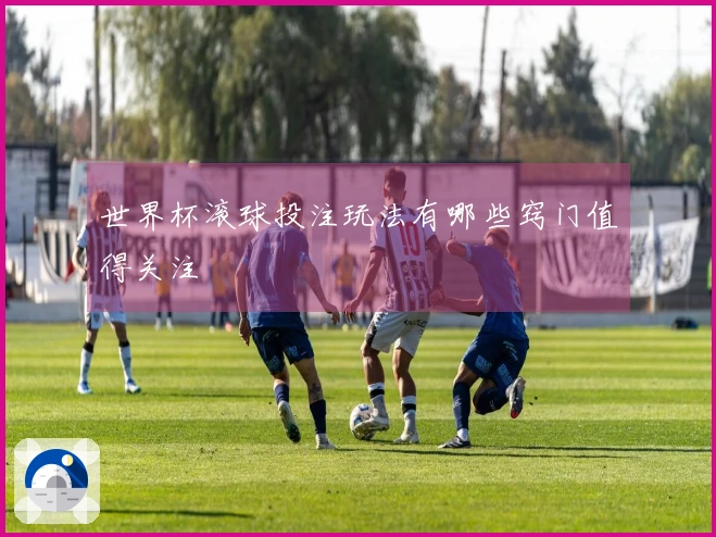 世界杯滚球投注玩法有哪些窍门值得关注