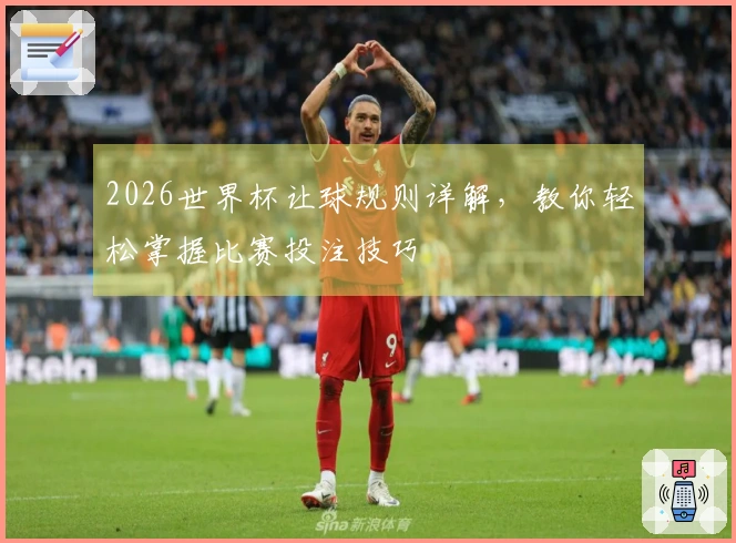 2026世界杯让球规则详解,教你轻松掌握比赛投注技巧