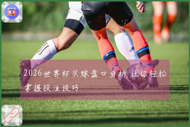 2026世界杯买球盘口分析 让你轻松掌握投注技巧