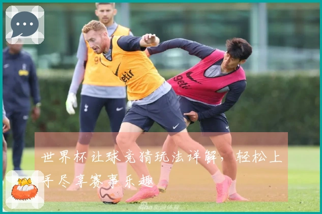 世界杯让球竞猜玩法详解，轻松上手尽享赛事乐趣